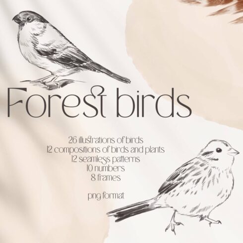 forest birds sketches collection cover image.
