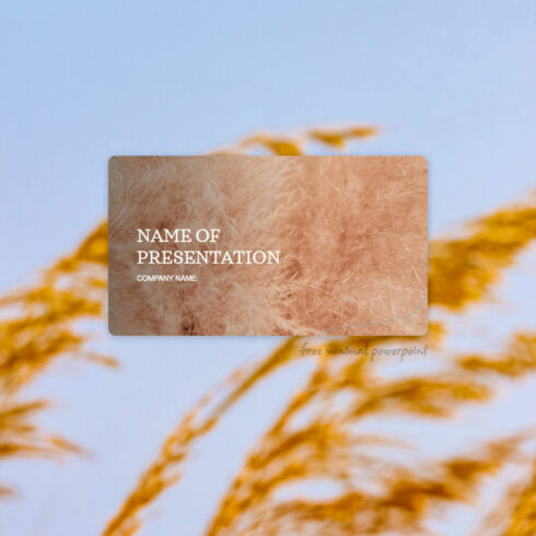 Great slide with wheat background.