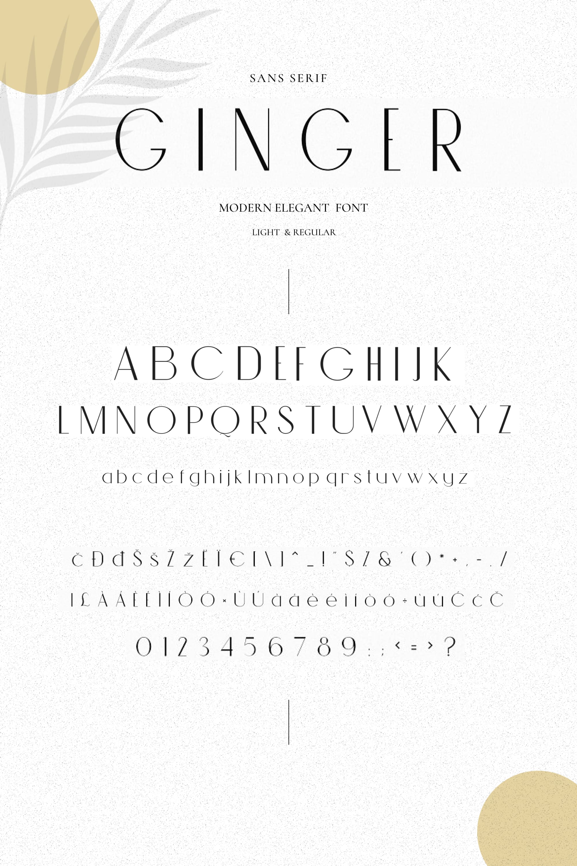 An example of a Ginger font in black on a gray background.
