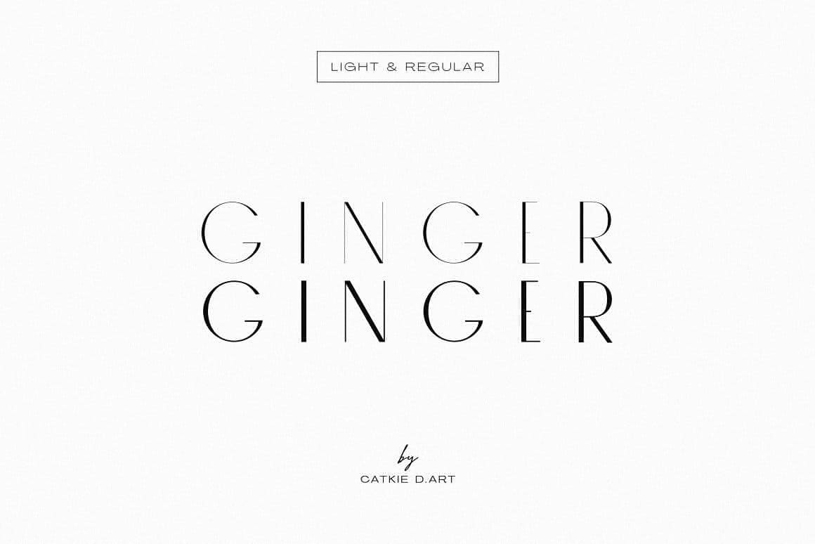 Ginger An Elegant Modern Font.