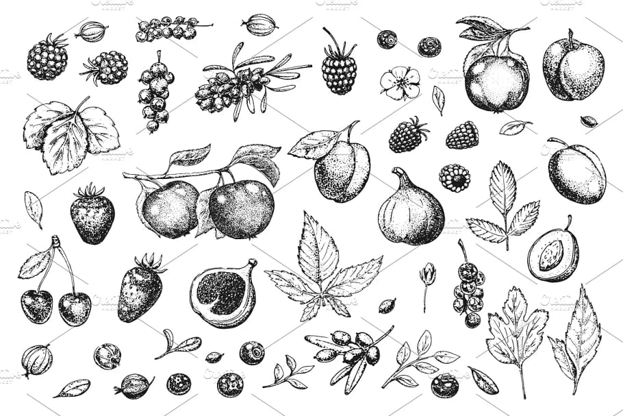 hand drawn vegetables and fruit, fruit elements black and white.