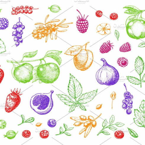 hand drawn vegetables and fruit, fruit elements in color.