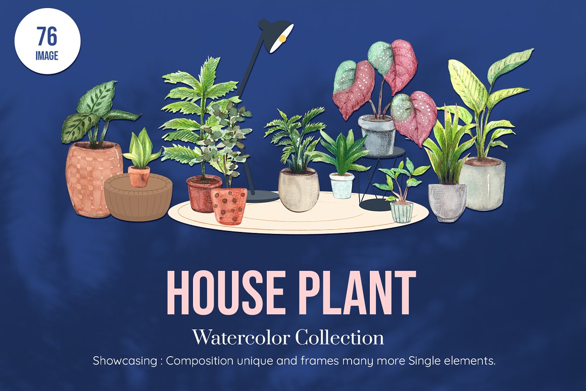 House plant presentation cover.