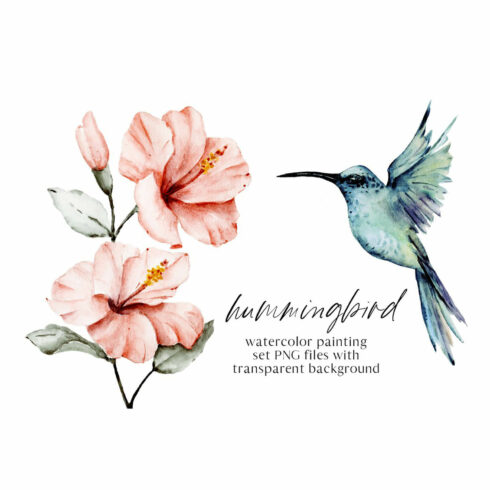 Hummingbird with a pink flower is painted in watercolor.