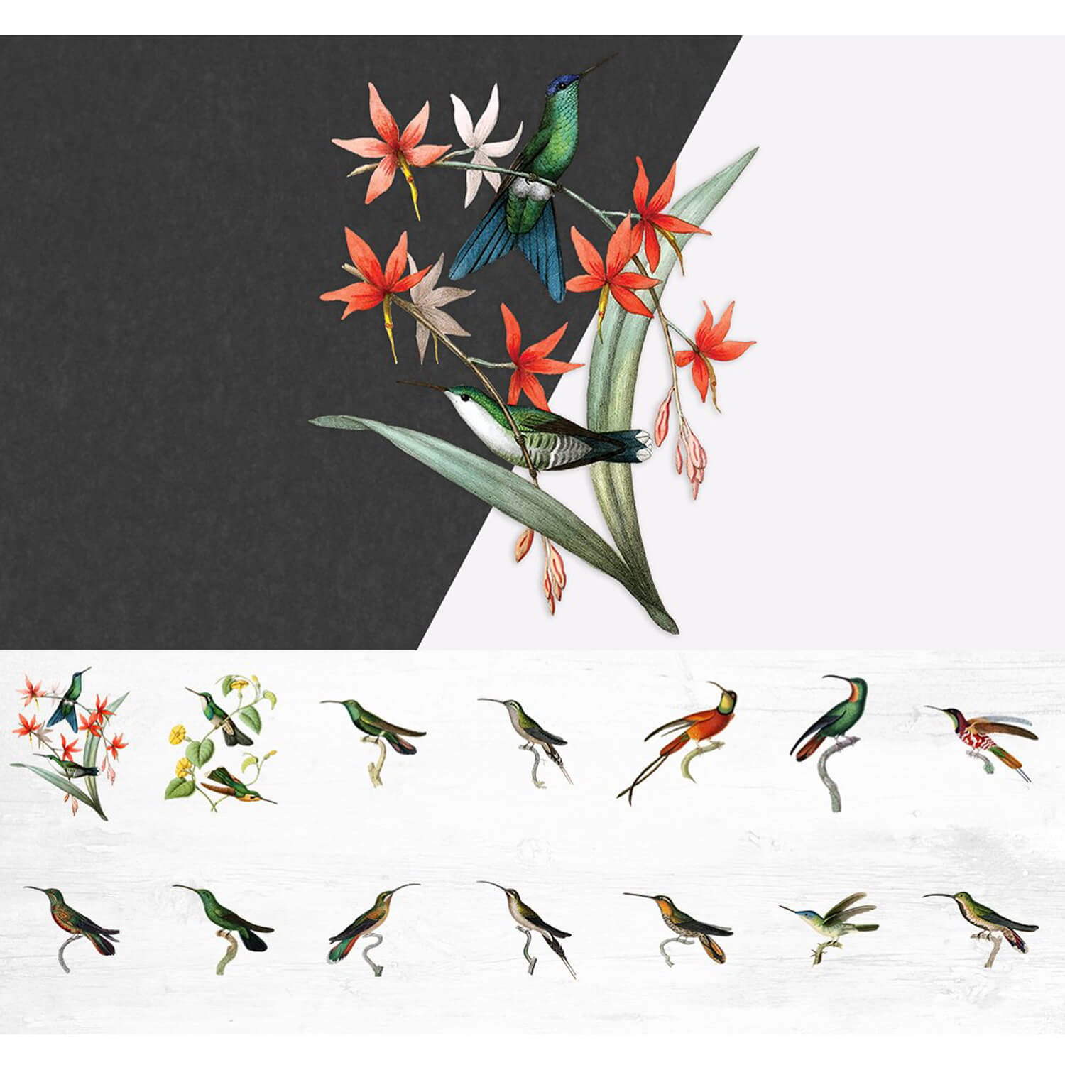 Hummingbirds with different colors on green branches with and without leaves and flowers.
