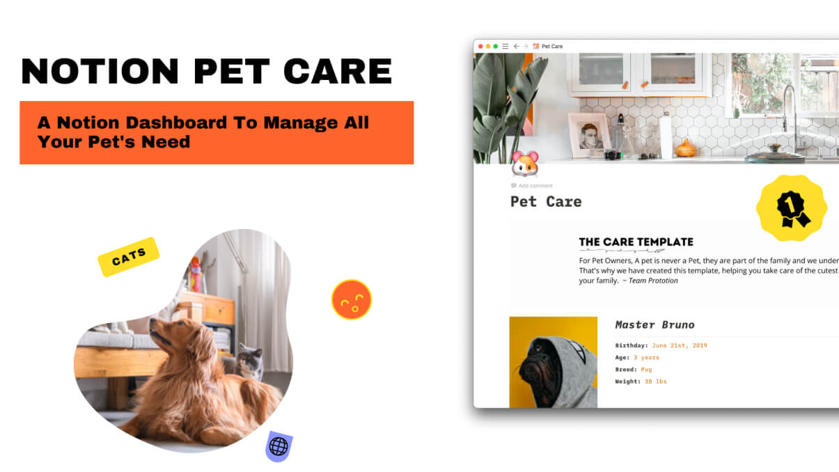 A notion dashboard to manage all what's pet's need.