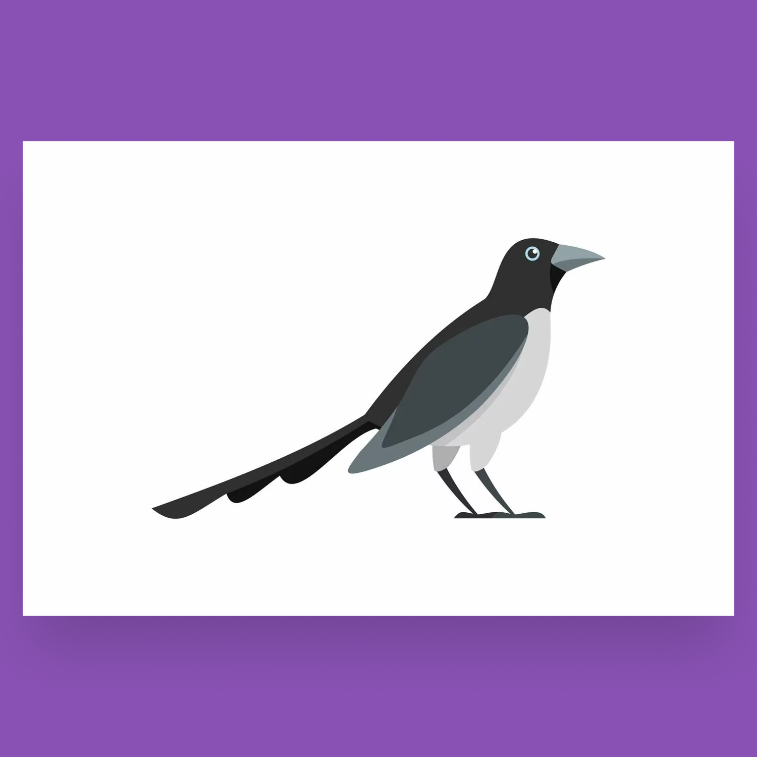 looking magpie icon cover image