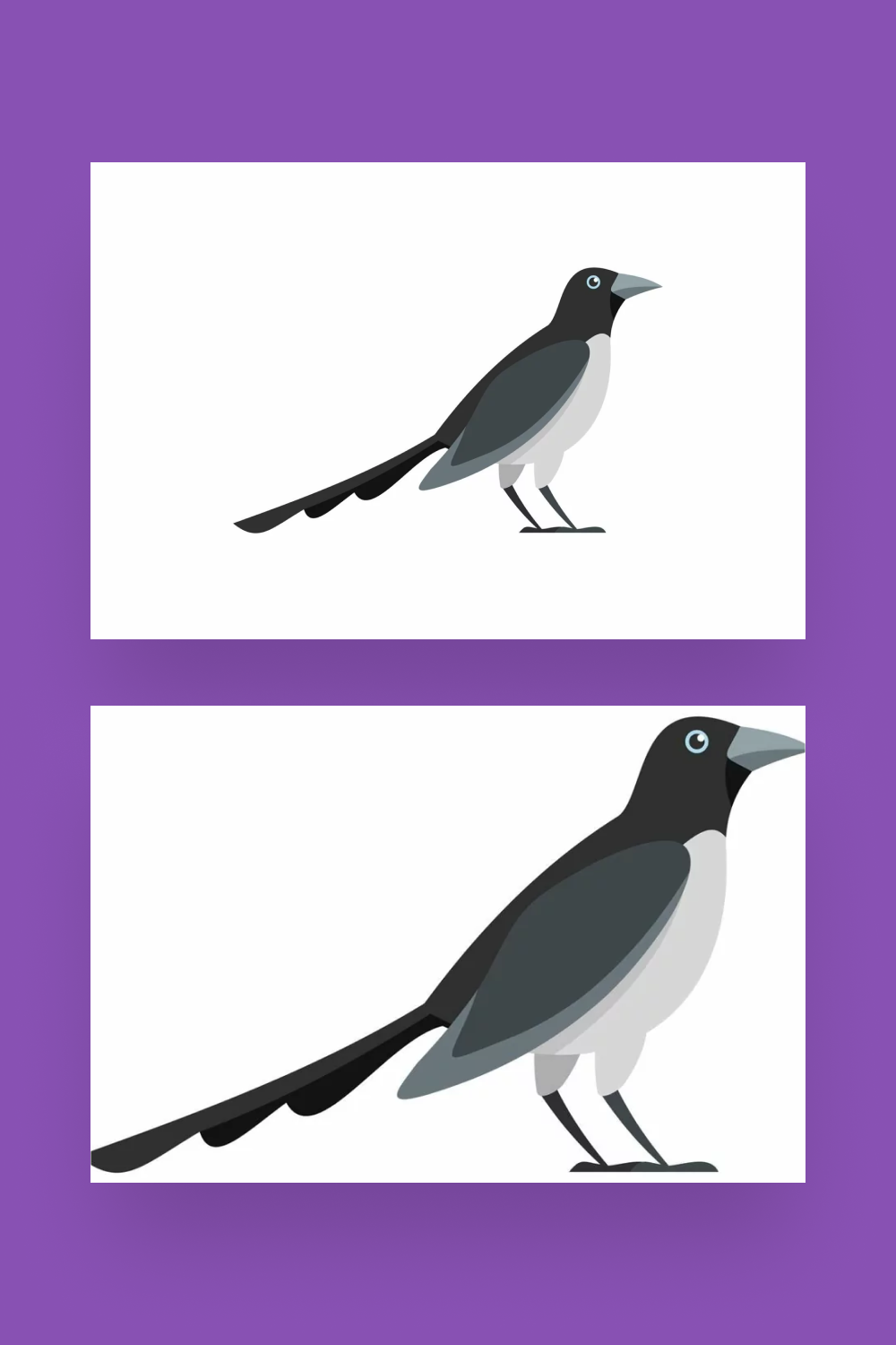 looking magpie icon pinterest