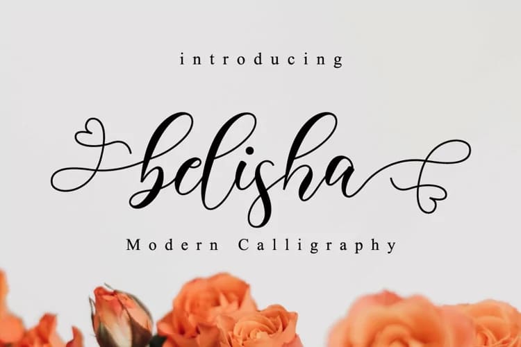lovely font bundle, belisha script.