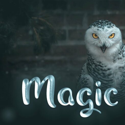 Magic Owl - An enchanting Typeface cover image.