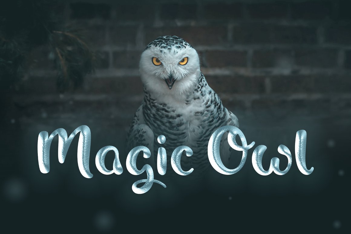 Beautiful owl with the inscription in a beautiful font on a background of a brick wall.