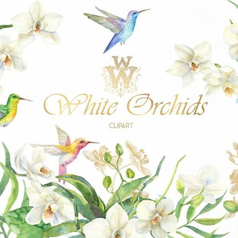 White orchids and small hummingbirds around the gold lettering.