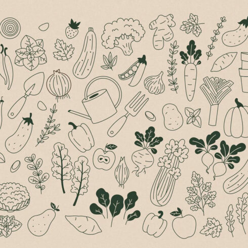 minimalist vegetables vector collection.