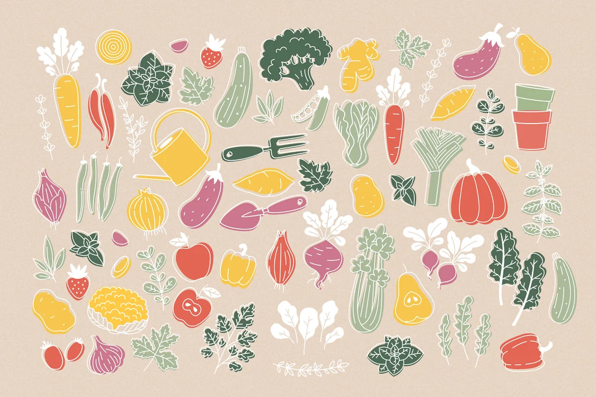 minimalist vegetables collection in color.