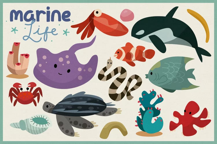 ocean animals illustrations.