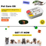 All about pet care: medications, food budget, immunization, photo gallery, medical records, walk tracks.