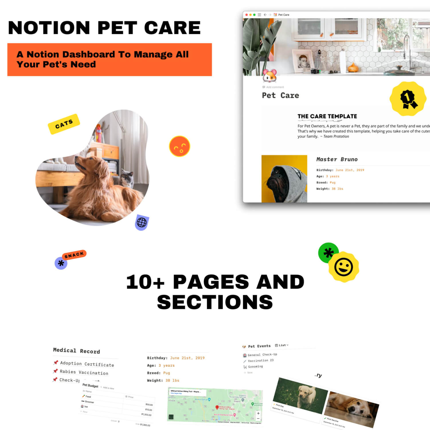 Slides about the pet care template.