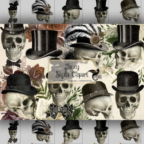 fancy skulls graphics.