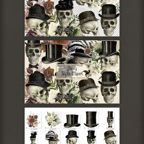 fancy skulls illustrations.
