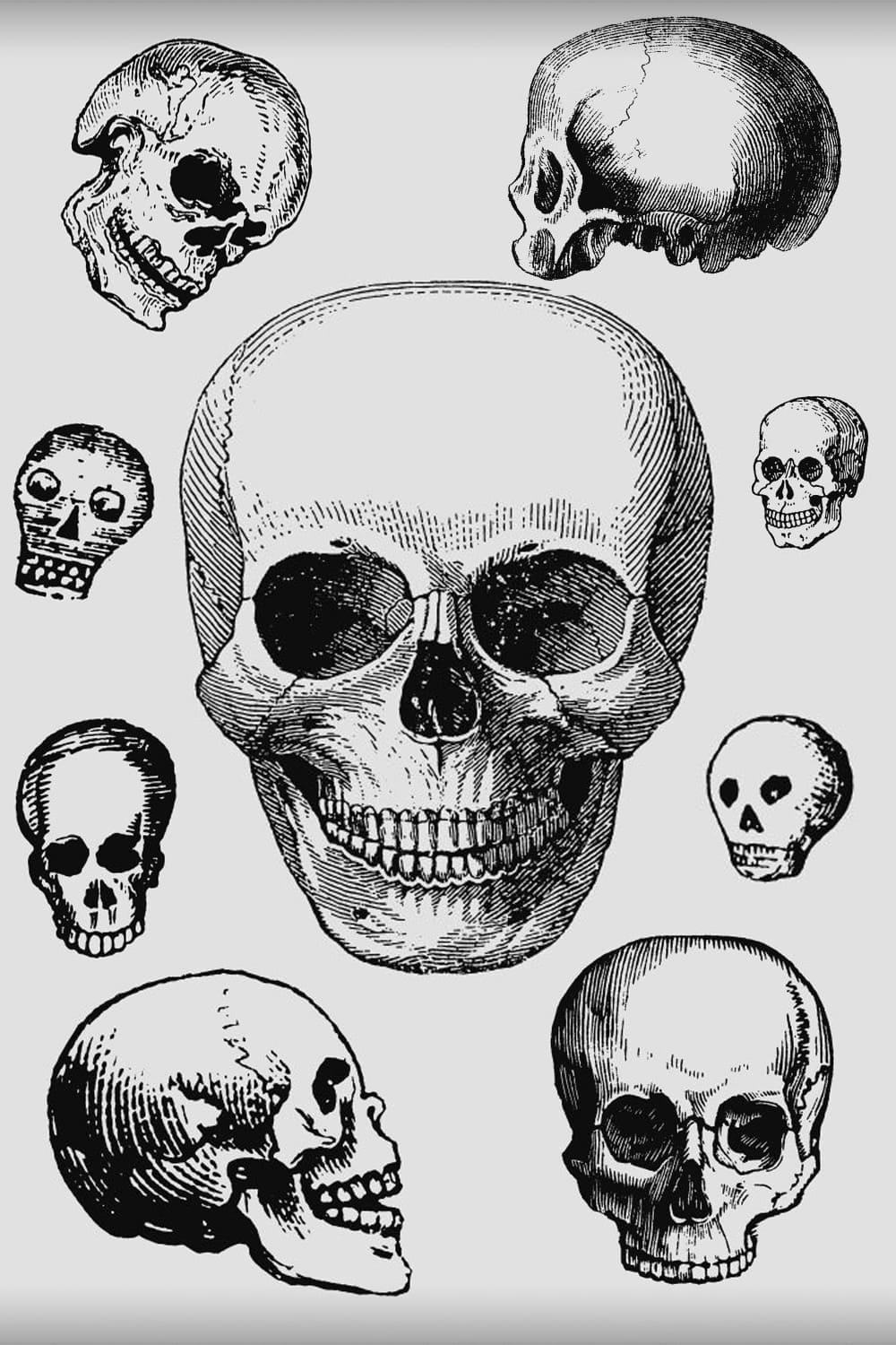 vintage skulls clipart.