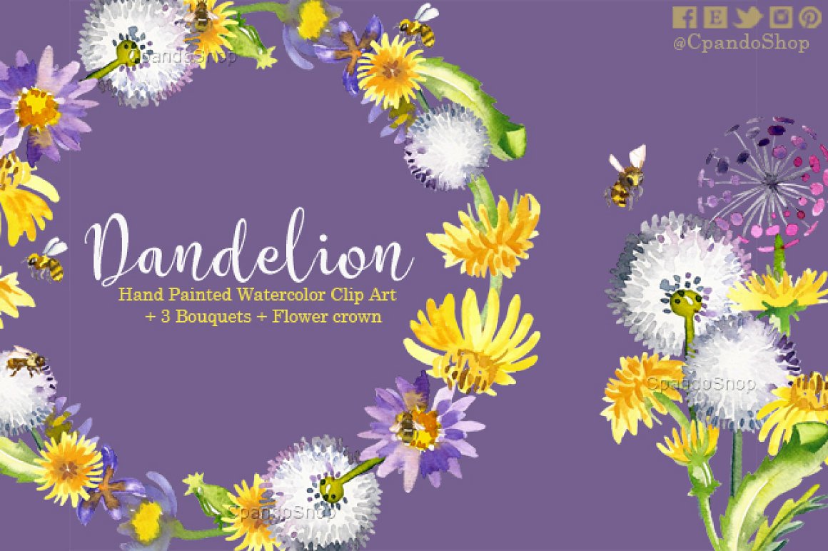 Presented frame of dandelion flowers on a purple background.