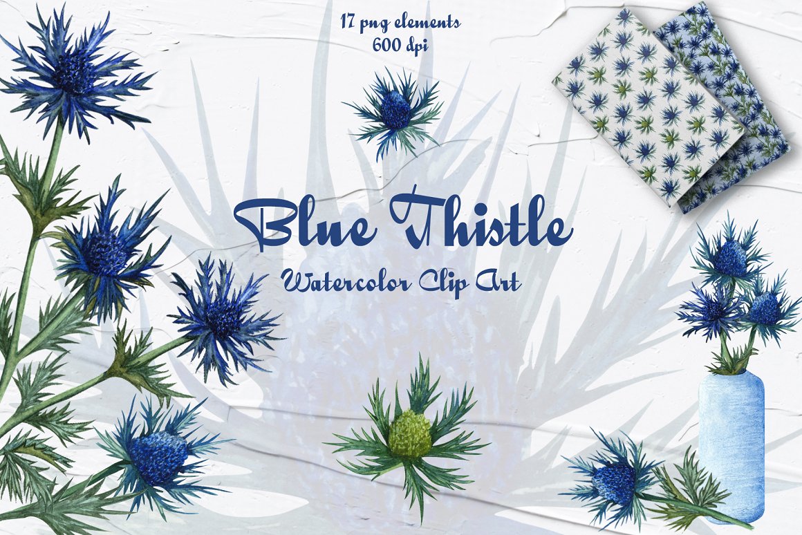 Header with an inscription and a blue thistle.