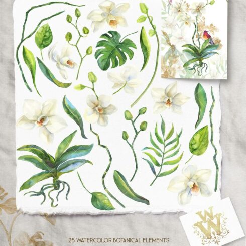 25 Watercolor Botanical Elements: Leaves, Flowers and Buds.