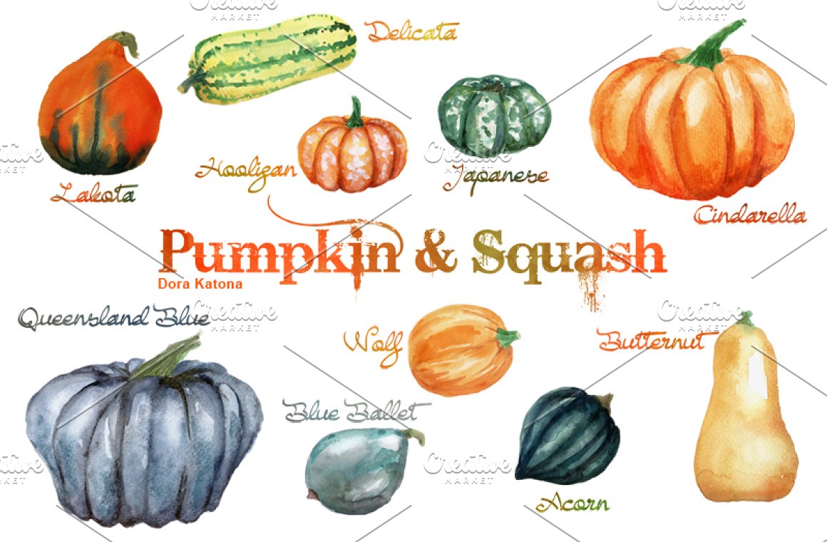 Pumpkin of different kinds in the image.
