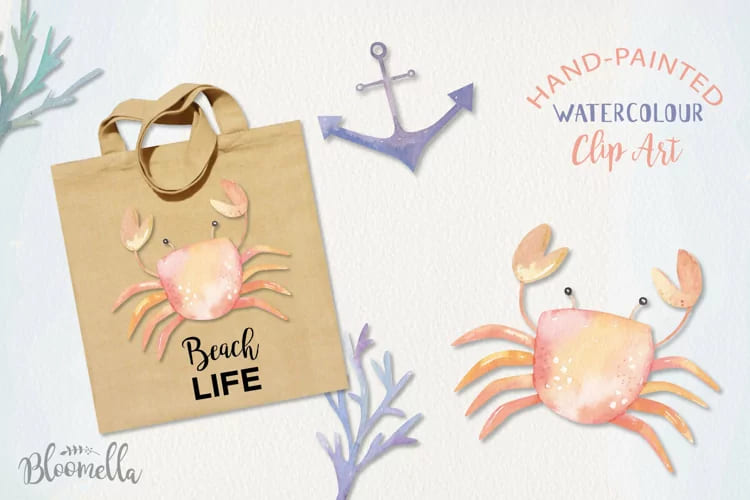 sea life watercolor illustrations.