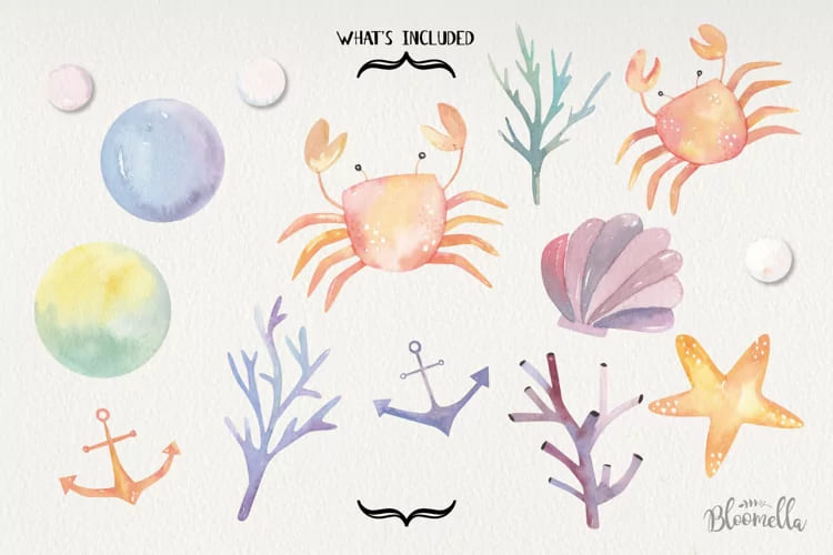 sea life watercolor graphics.