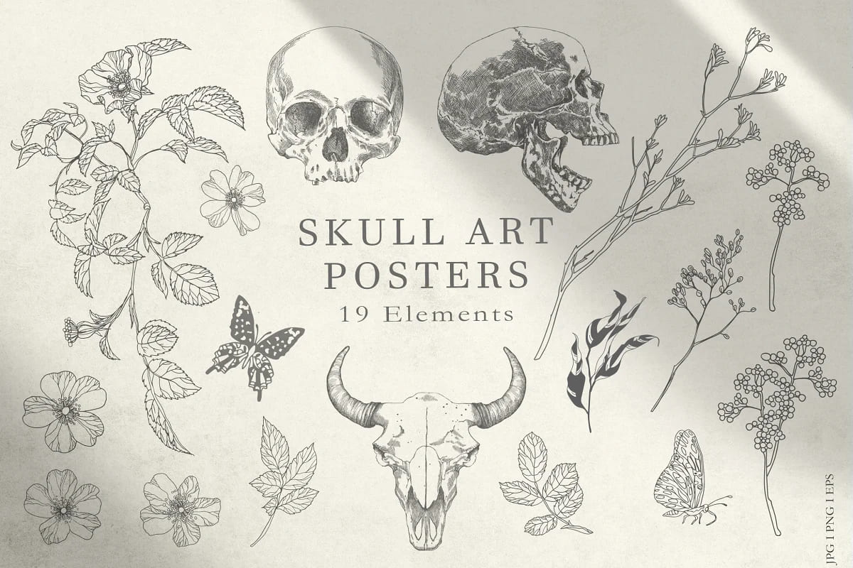 skull art posters elements.