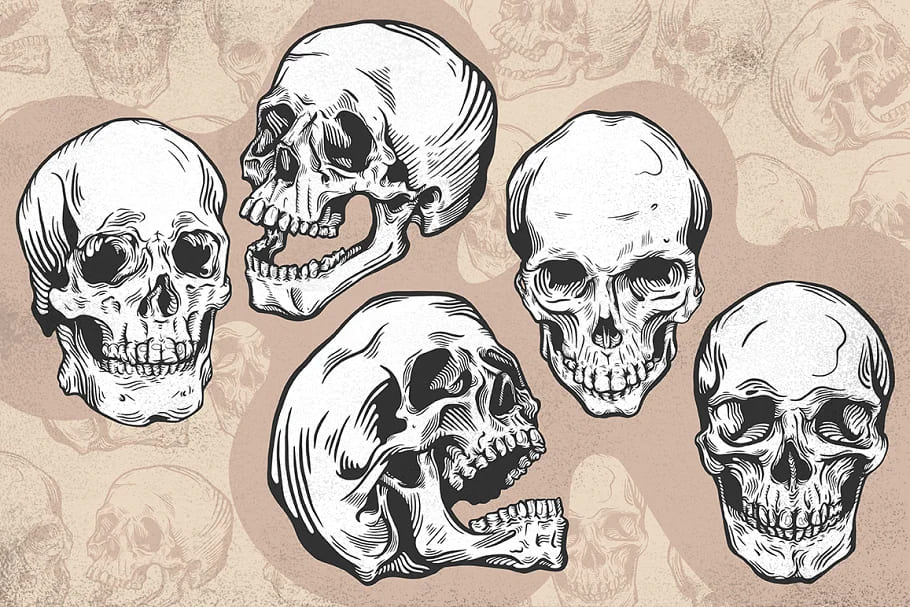 skulls vector illustrations.