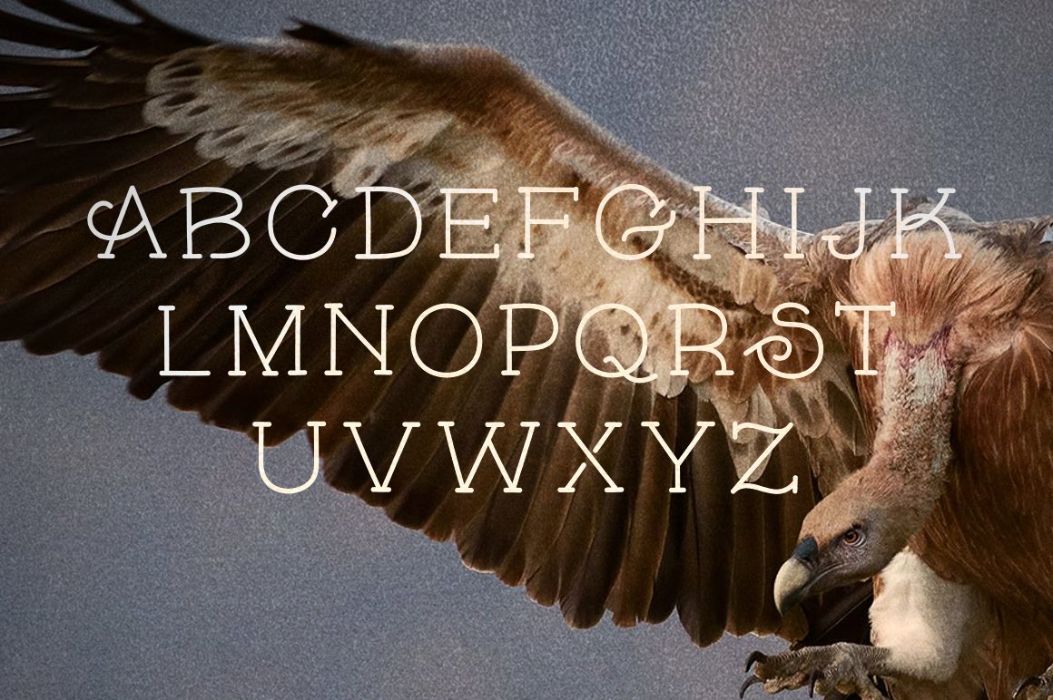 Alphabet on a bird background using a font from the pack.