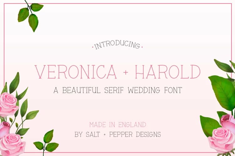 the girly font bundle, veronica+harold wedding font.