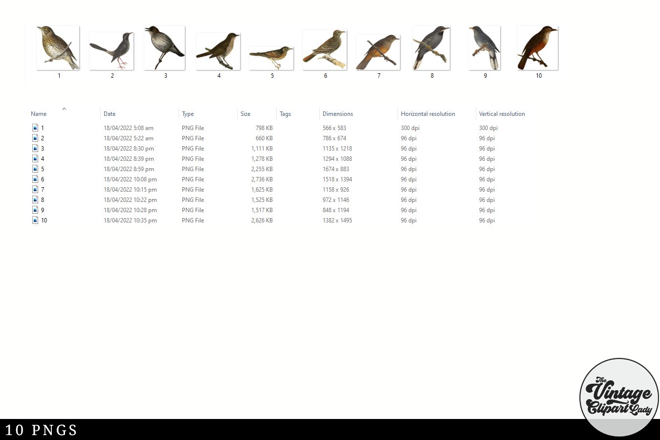 Columns with birds, and data under each of them.