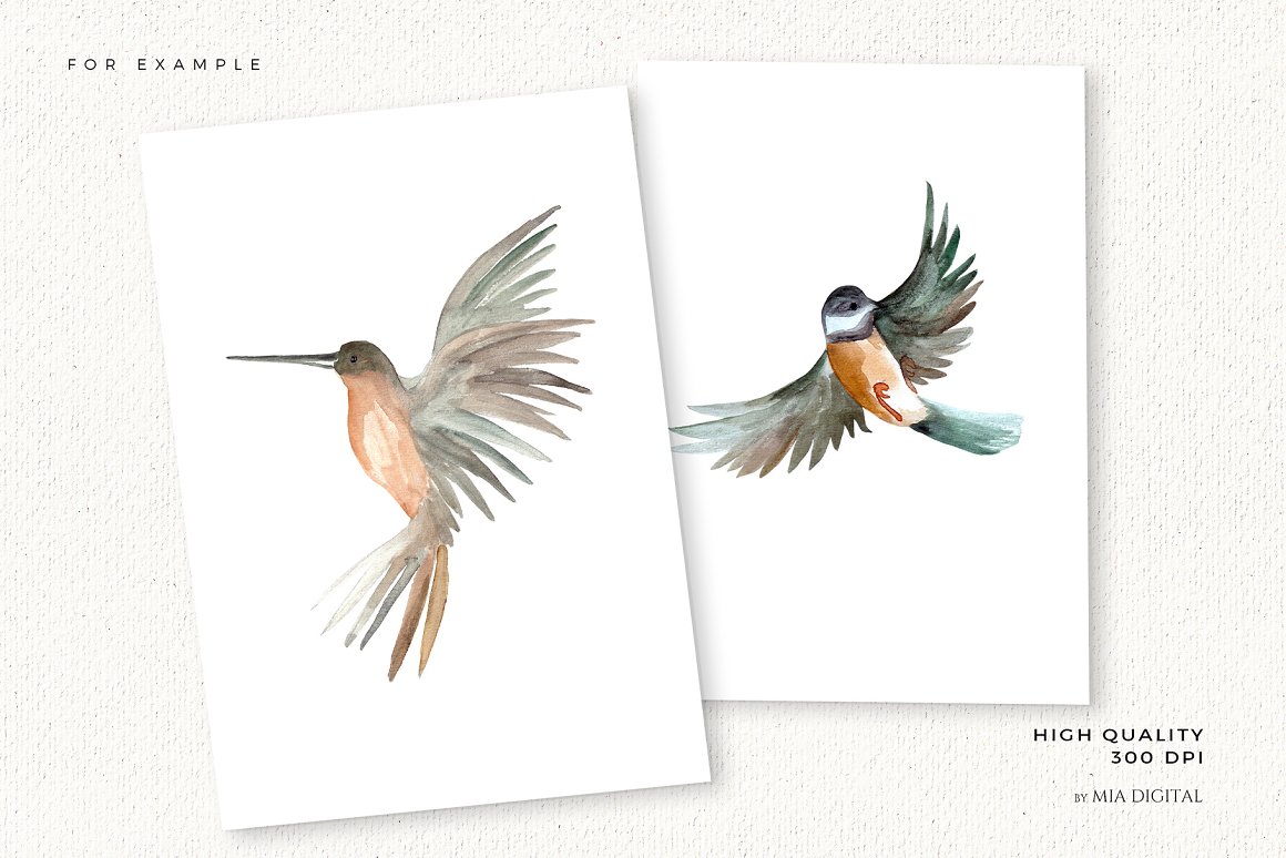 Drawings and prints using birds from the pack.