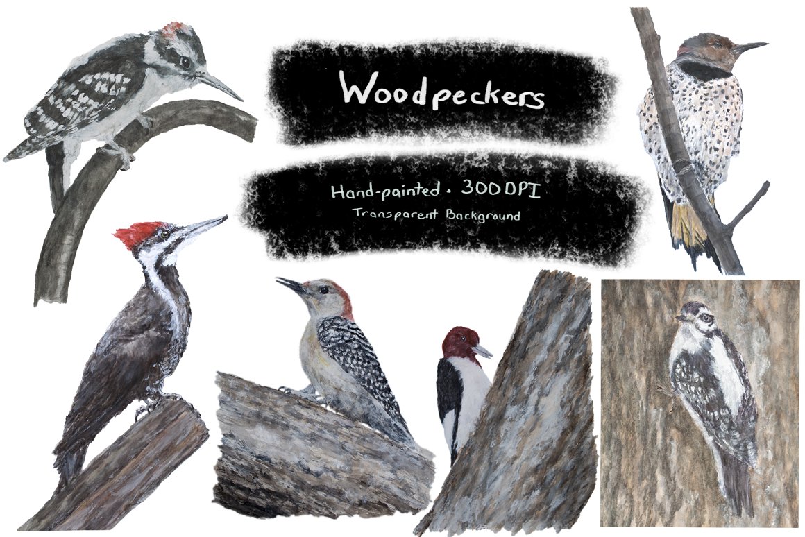 Title page with woodpeckers.