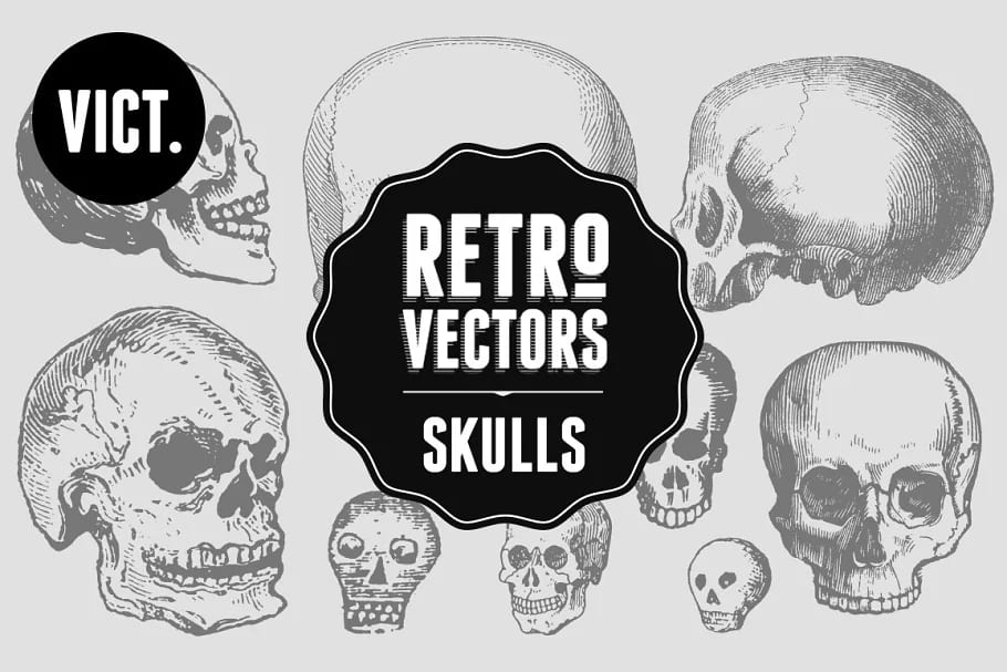 vintage skulls vectors.