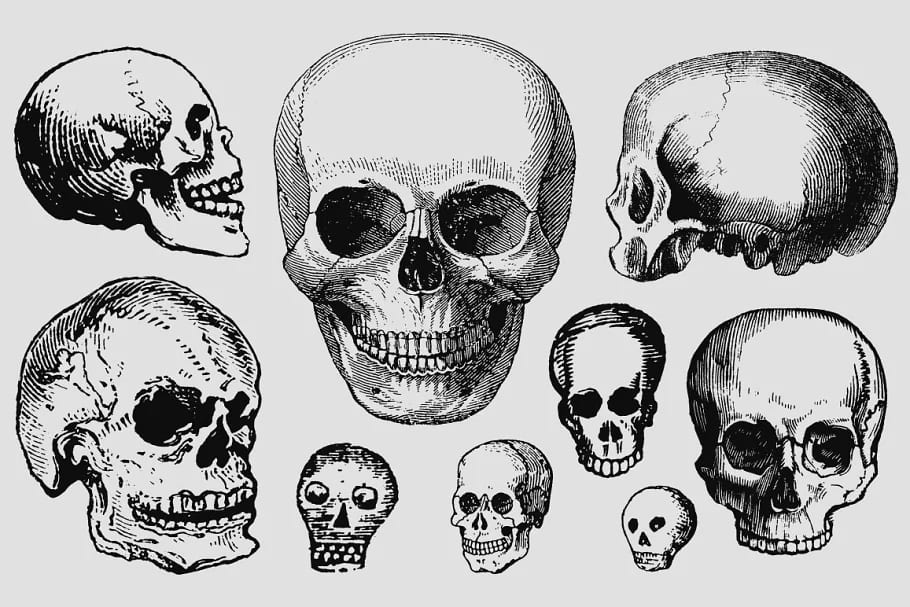 vintage skulls elements.
