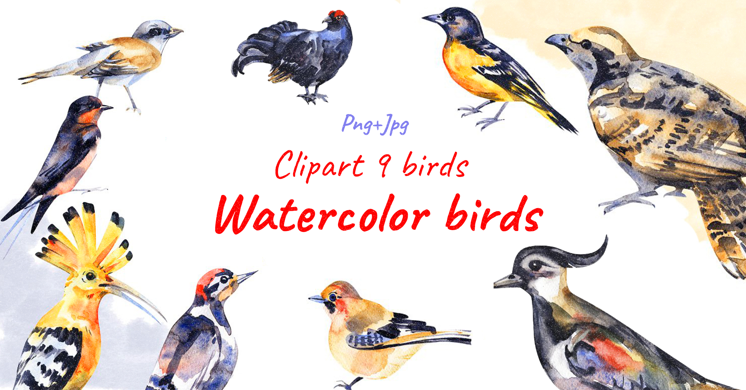 Watercolor birds for facebook.