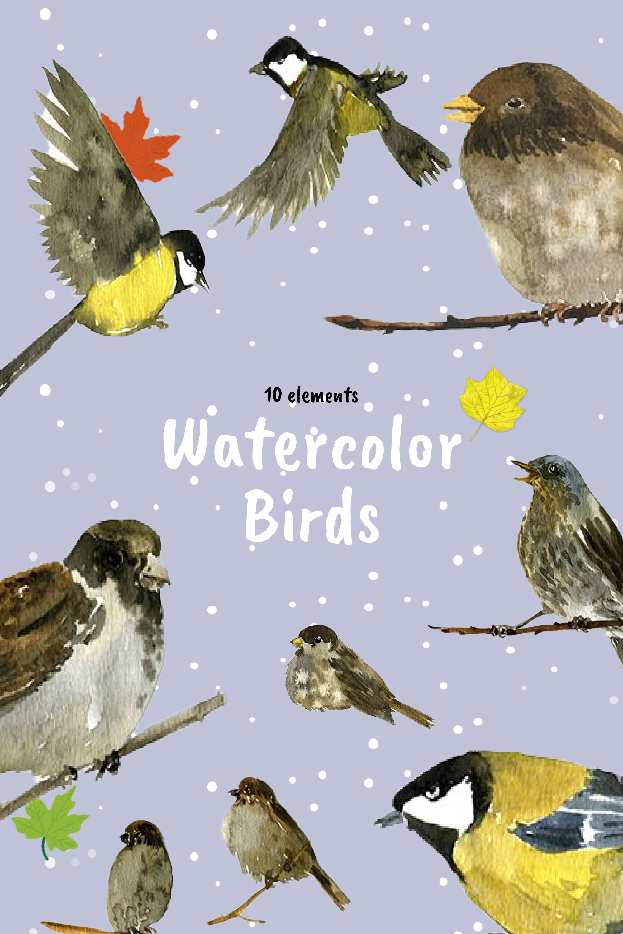 Watercolor birds of pinterest