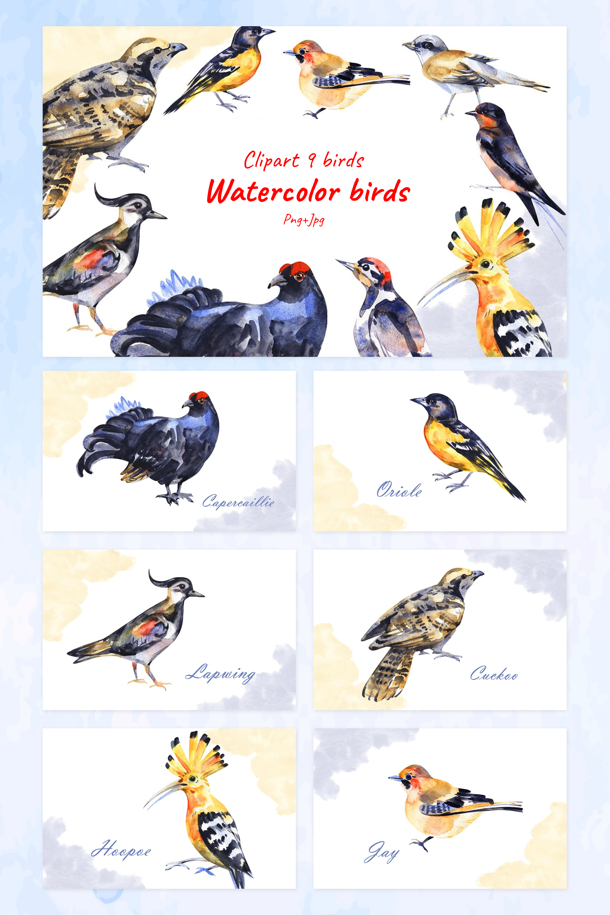 Watercolor birds of pinterest