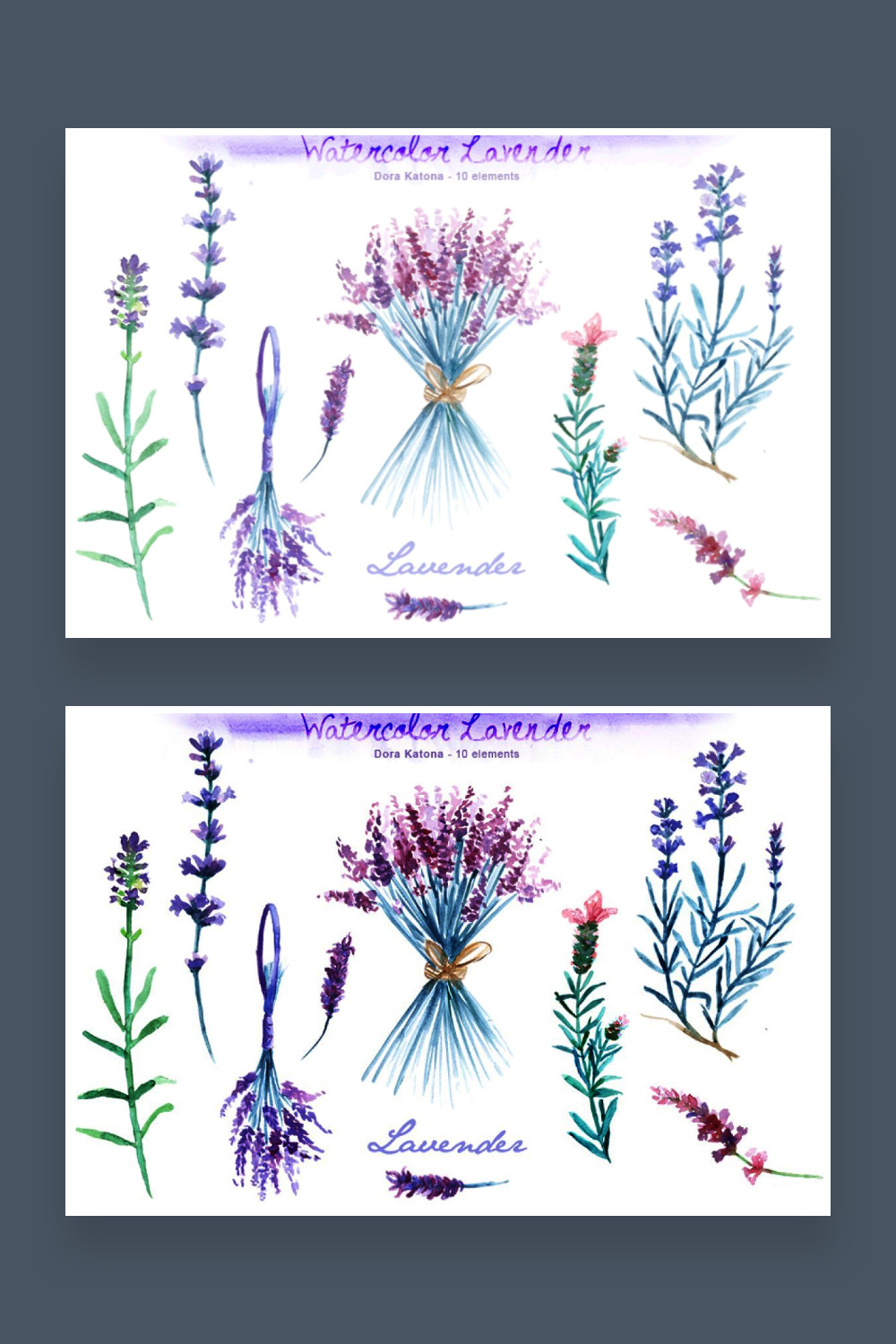 Watercolor lavender clip art pinterest.