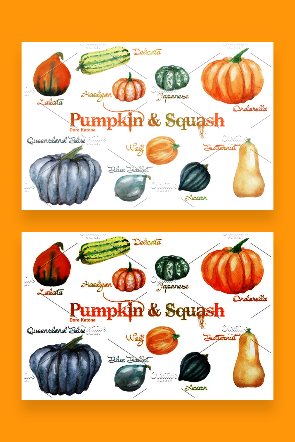 Watercolor pumpkin and squash pinterest.