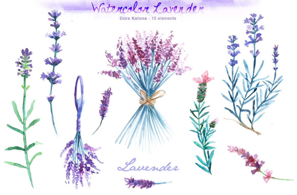 Lavender for your use.