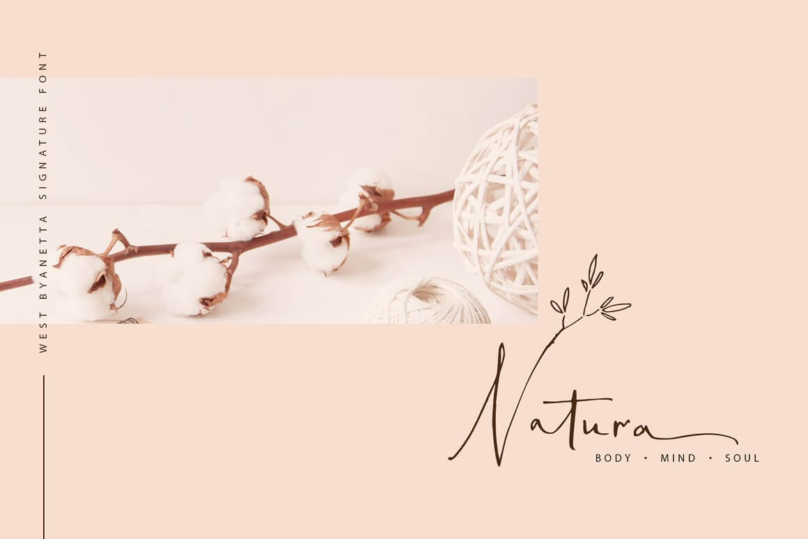 Image of cotton branch and inscription "Natura".