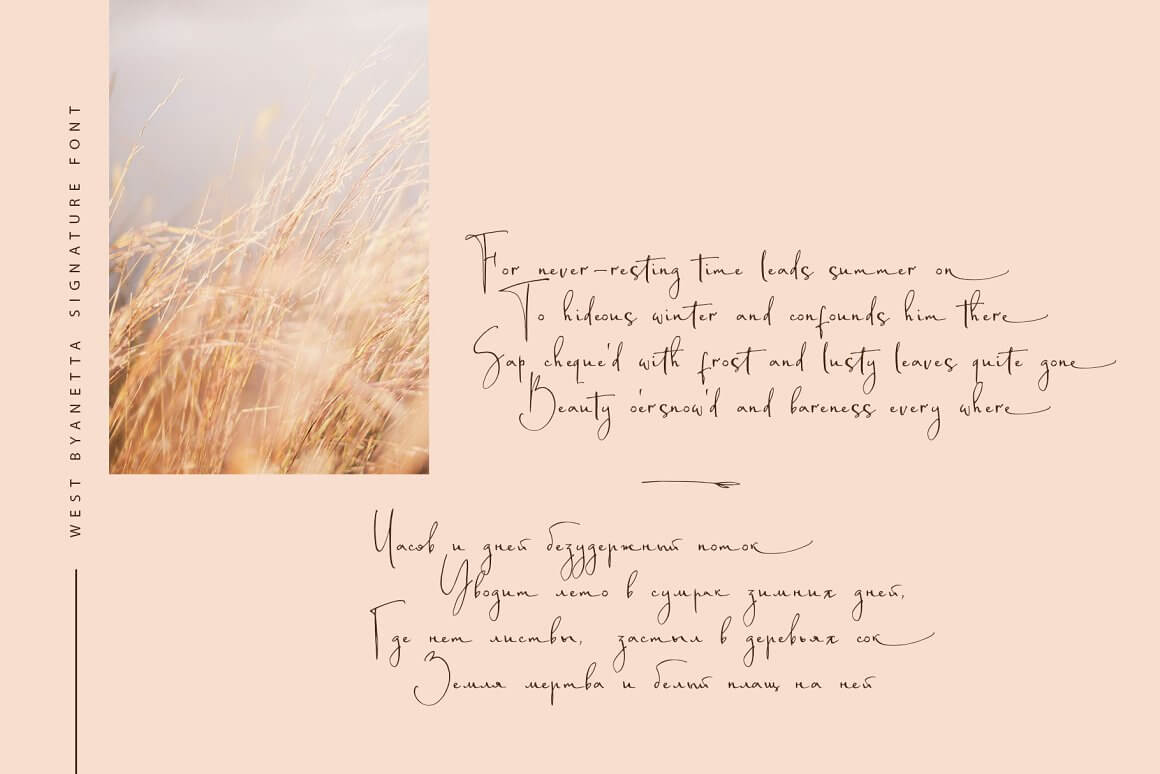 Image of field herbs, and next to the image of a quatrain written in Latin and Cyrillic letters.