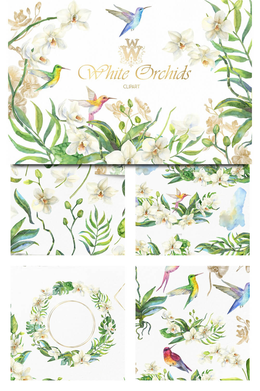 Large and small slides of white orchids and hummingbirds.