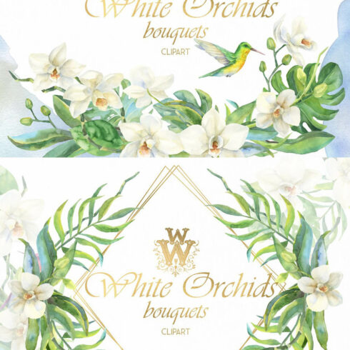 2 slides with a white background: on the first, a bouquet of orchids and a small hummingbird are at the bottom, and on the second, orchids are on the sides.