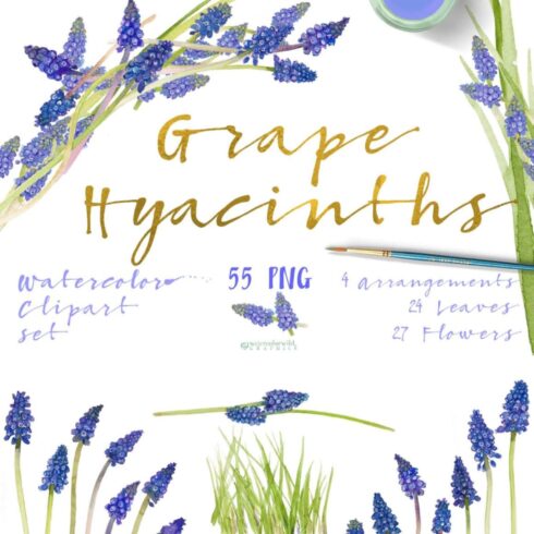 Grape Hyacinths_Blue Spring cover image.